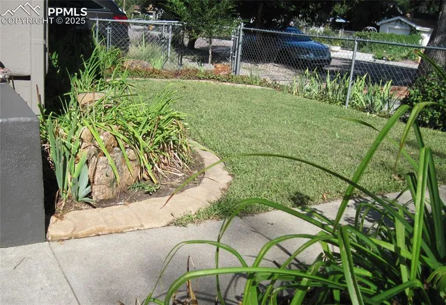a view of a backyard