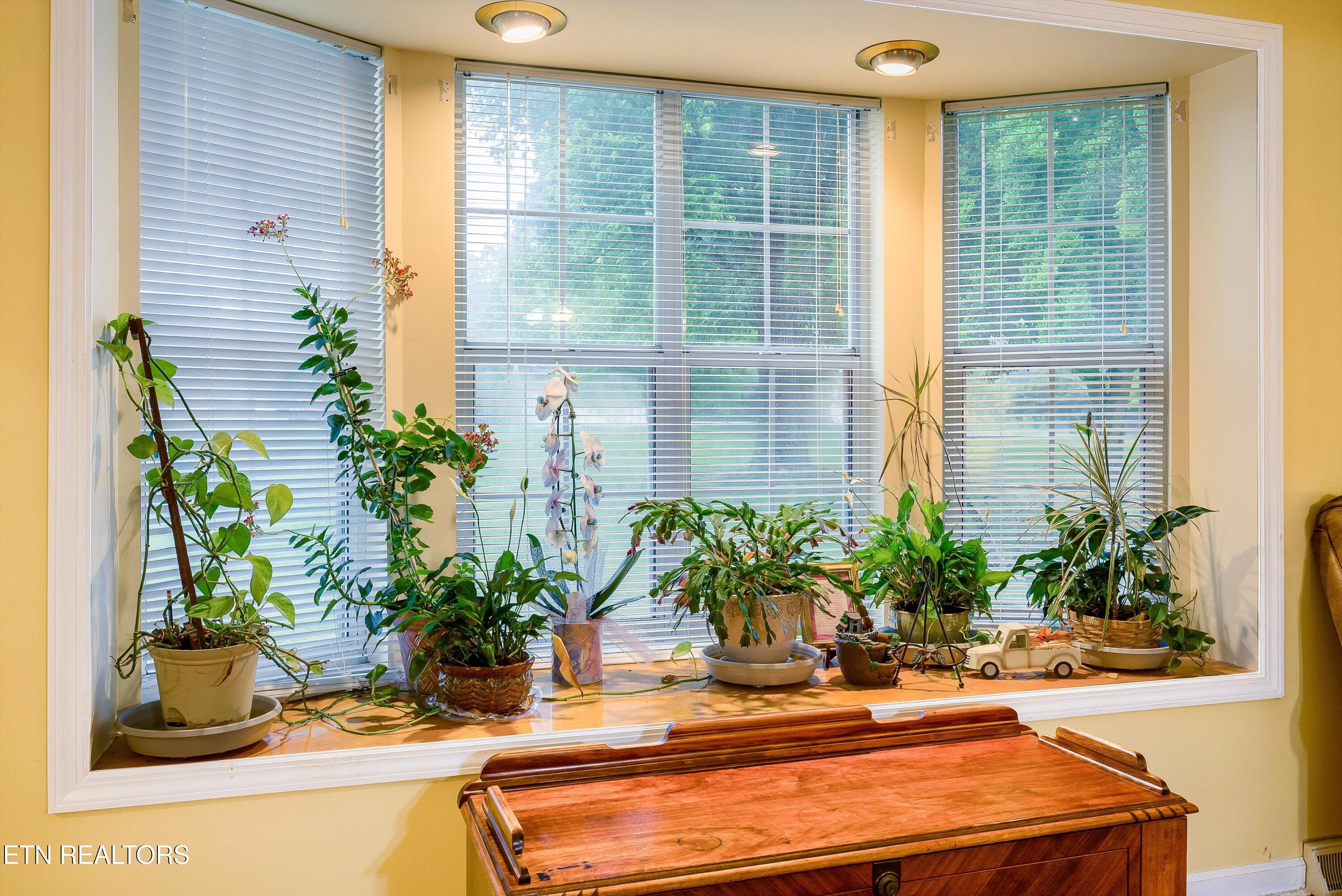 905 North E End Road Strawberry Plains, TN 37871 - Photo 20 of 57 23-905NE_EndRd-23