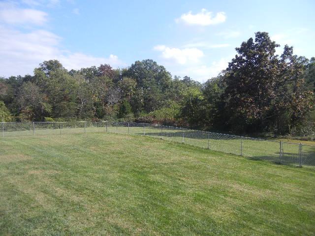 12466 Highway 108 Altamont, TN 37301 - Photo 19 of 20 Looking out over your backyard is just more of your own land and a huge fenced area allowing for safety of pets and children.