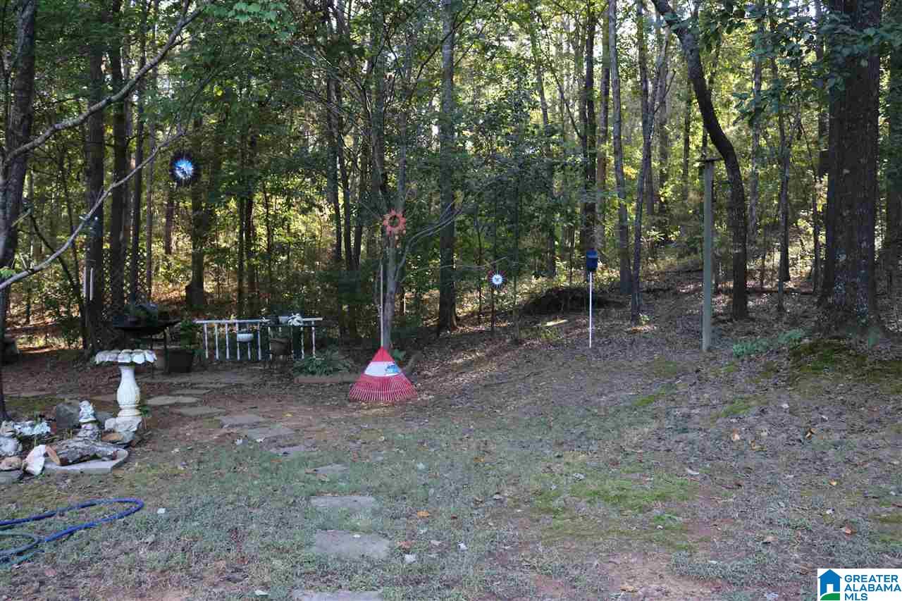 315 Anna Mattison Road Oxford, AL 36203 - Photo 30 of 41