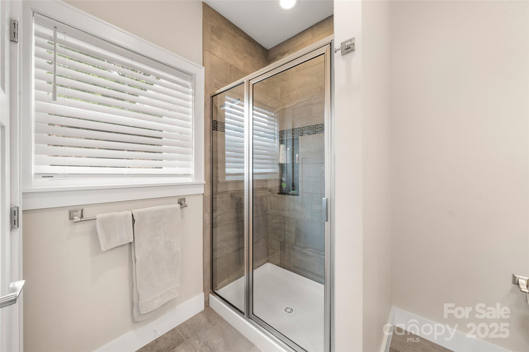 9 Vedder Way Swannanoa, NC 28778 - Photo 19 of 33 a bathroom with a glass shower door