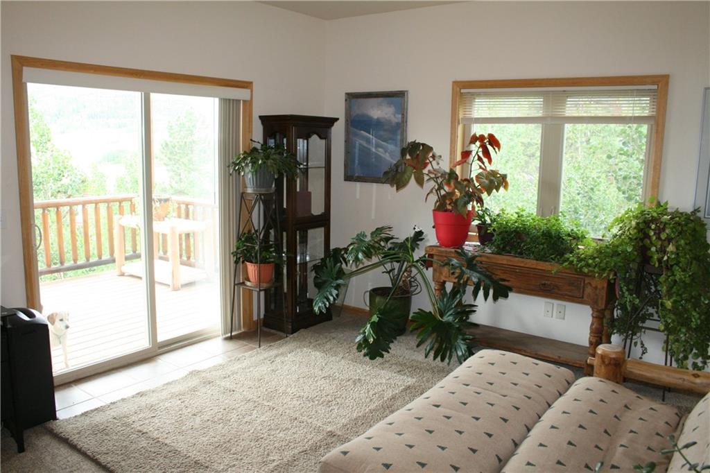960 Sheep Ridge Road Fairplay, CO 80440 - Photo 25 of 34 a living room with furniture and a potted plant