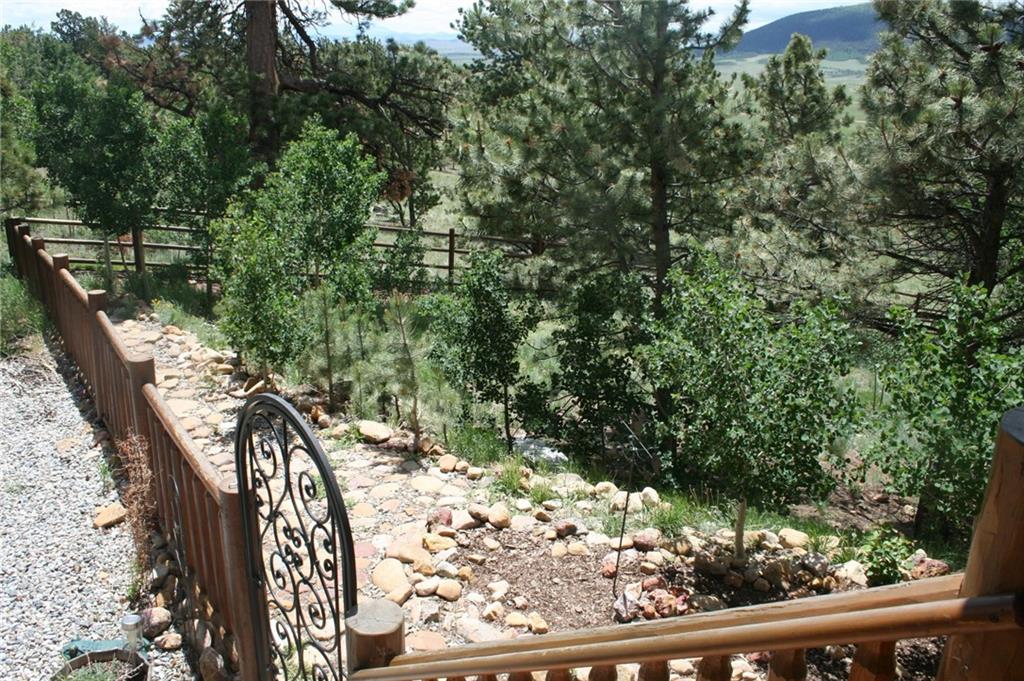 960 Sheep Ridge Road Fairplay, CO 80440 - Photo 32 of 34 a view of a yard with plants and wooden fence
