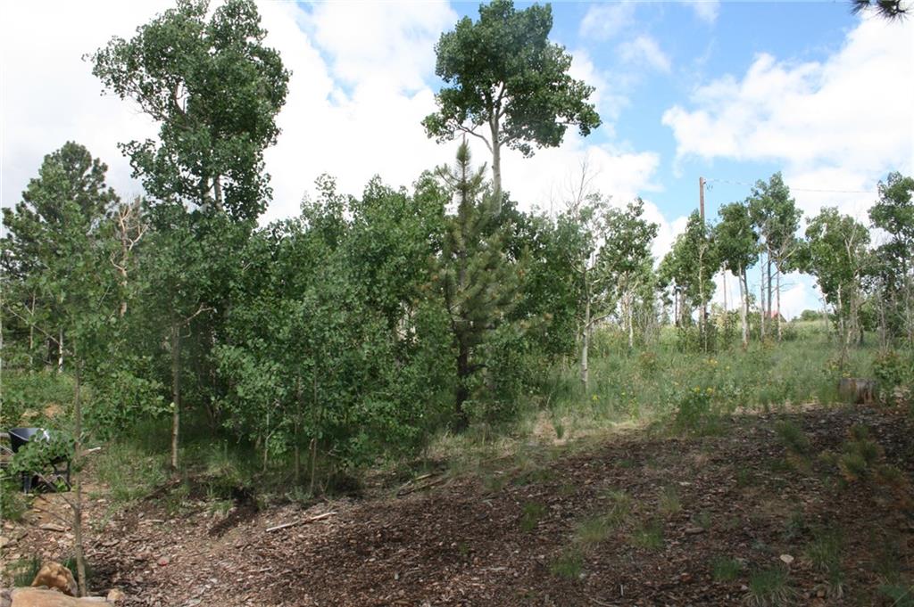 960 Sheep Ridge Road Fairplay, CO 80440 - Photo 33 of 34 a view of a forest with trees in the background