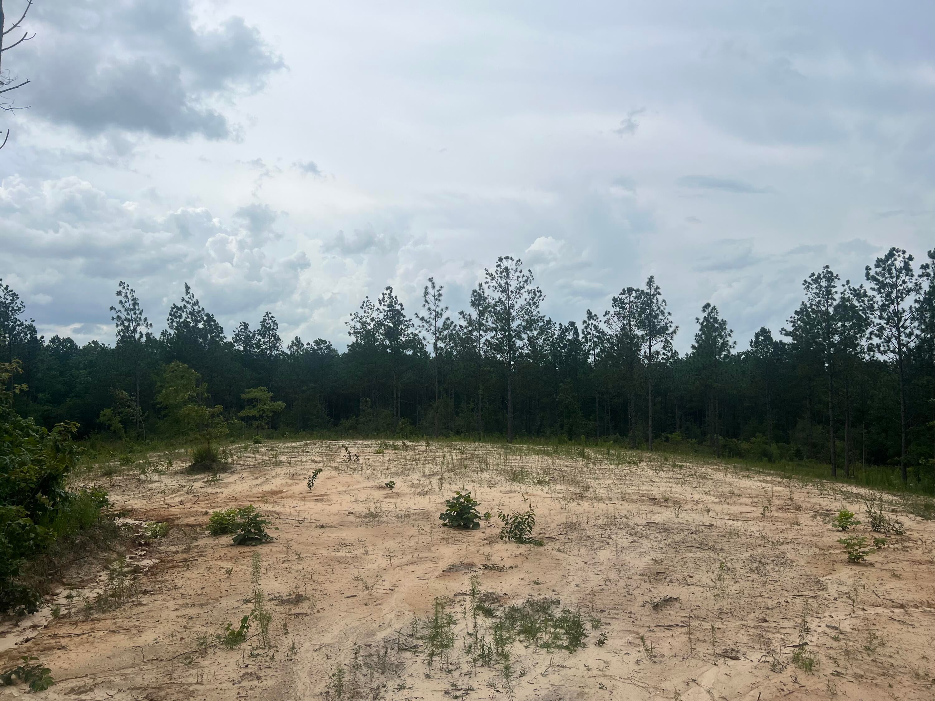 5 Lawler Road Lumberton, MS 39455 - Photo 3 of 3 Gallery Image 3