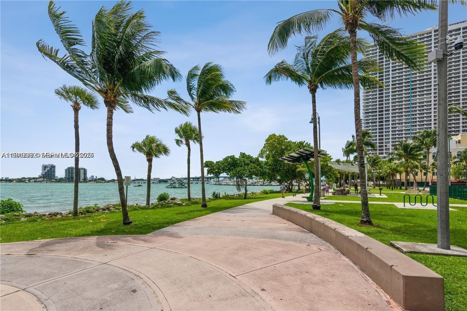 488 Northeast 18th Street, Unit 501 Miami, FL 33132 - Photo 23 of 29 a view of a park and a palm tree