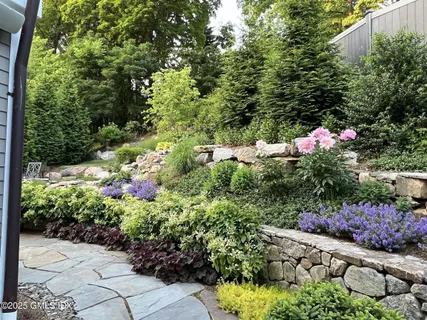a view of a tree with a flower