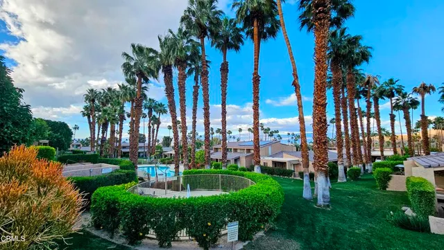 a view of an house with backyard and a tree