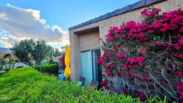 a backyard with furniture and a potted plant