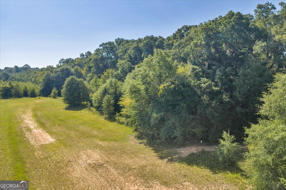 0 Airport Road Hawkinsville, GA 31036 - Photo 16 of 32 Gallery Image 16
