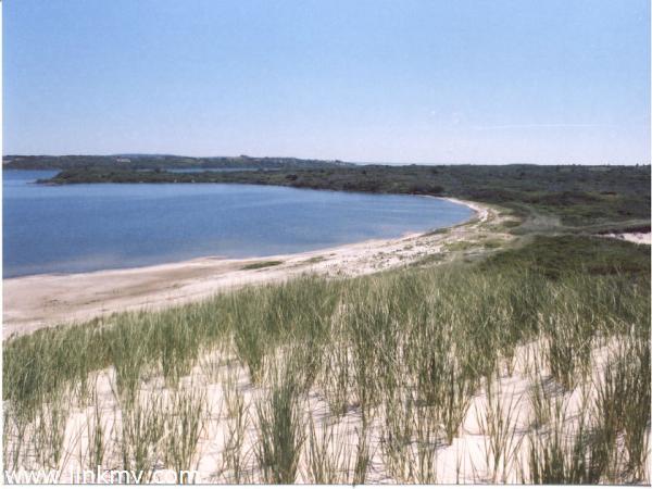 11 Round Pond Road Chilmark, MA 02535 - Photo 6 of 9 http://d1qzqeyxiitrap.cloudfront.net/photos/19617/600/0f0bdc8b.jpg