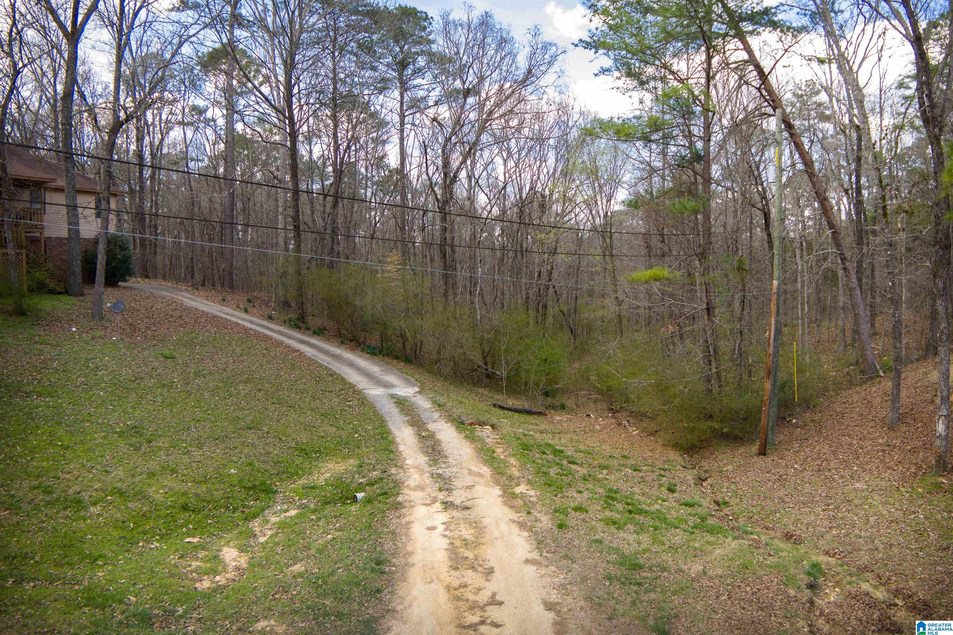 0 Norman Street Springville, AL 35146 - Photo 15 of 15