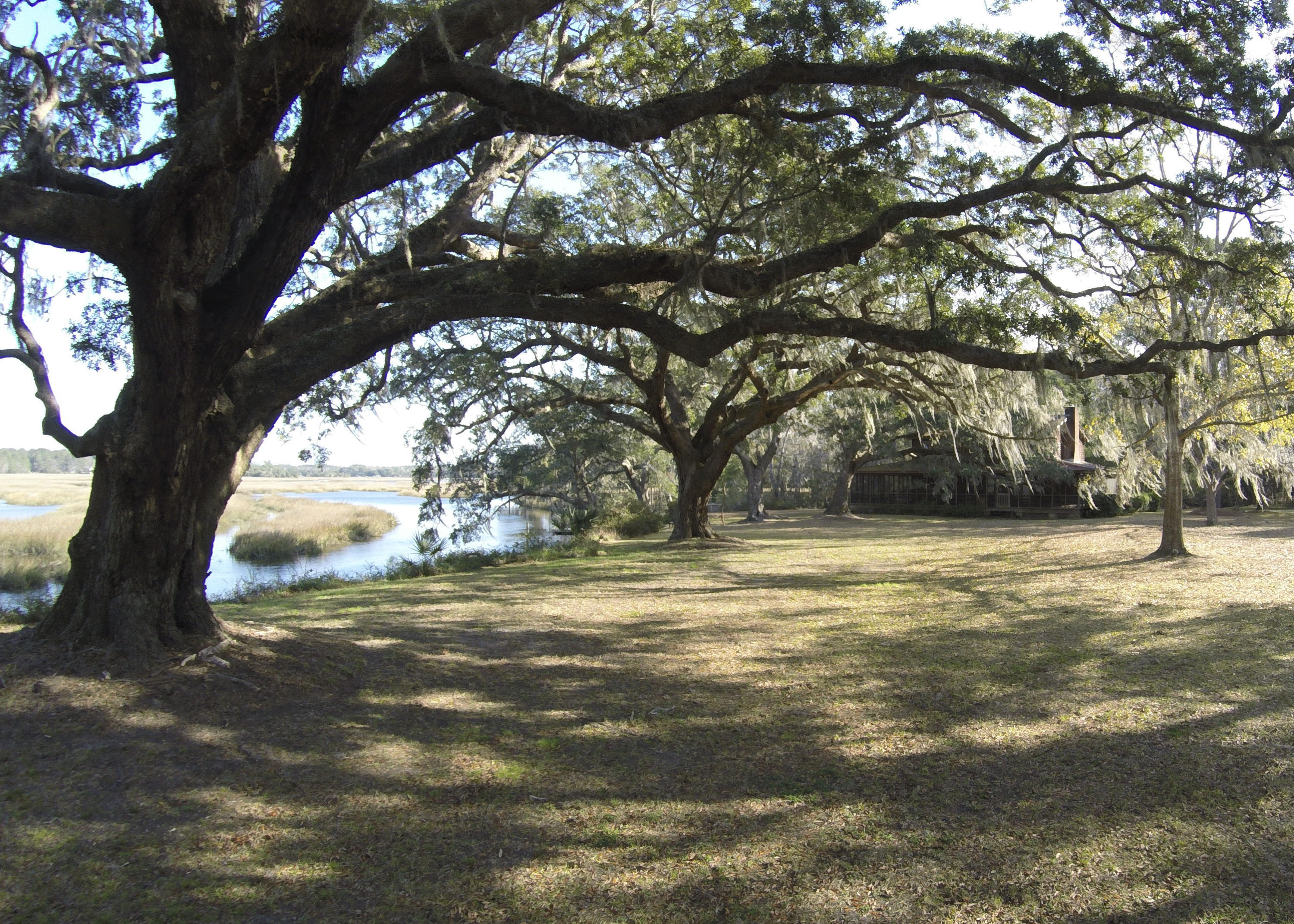 4424 Wando Farms Road Mount Pleasant, SC 29429 - Photo 14 of 35 4424 Wondo Farms Rd G0026566