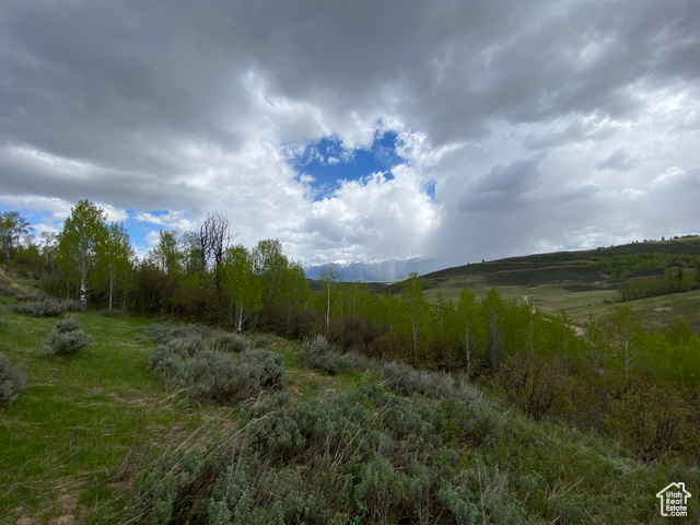 41 Grouse Loop Road, Unit 41 Freedom, WY 83120 - Photo 25 of 33 View of undeveloped land featuring rural landscape and mountains