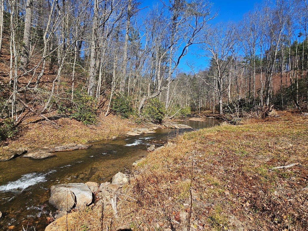 902 Sandy Level Road Woodlawn, VA 24381 - Photo 4 of 52 Gallery Image 4
