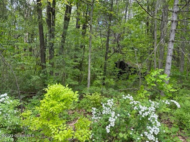 0 South Jarvis Road Ravena, NY 12143 - Photo 2 of 5 IMG_0562