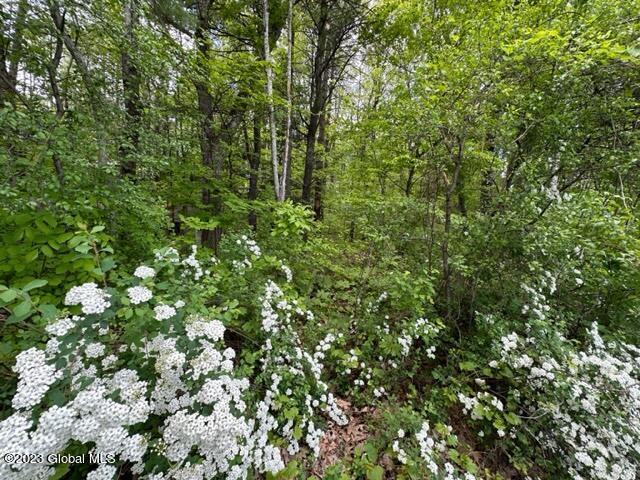 0 South Jarvis Road Ravena, NY 12143 - Photo 3 of 5 IMG_0569