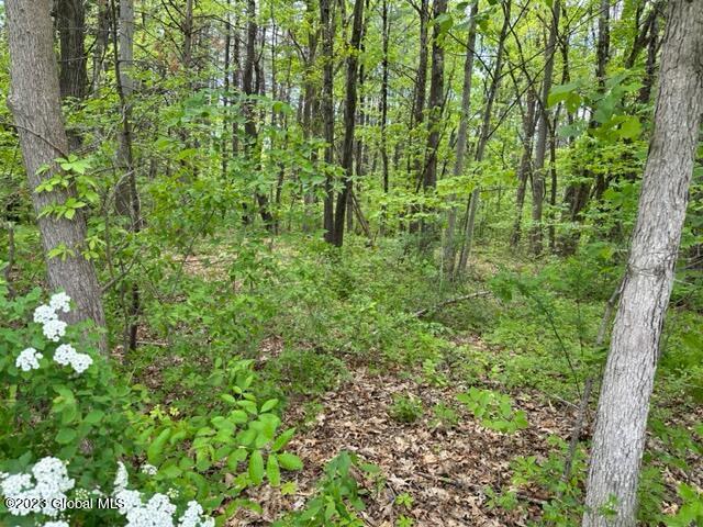 0 South Jarvis Road Ravena, NY 12143 - Photo 4 of 5 IMG_0572
