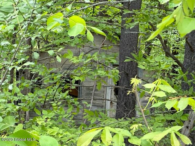 0 South Jarvis Road Ravena, NY 12143 - Photo 5 of 5 IMG_0573