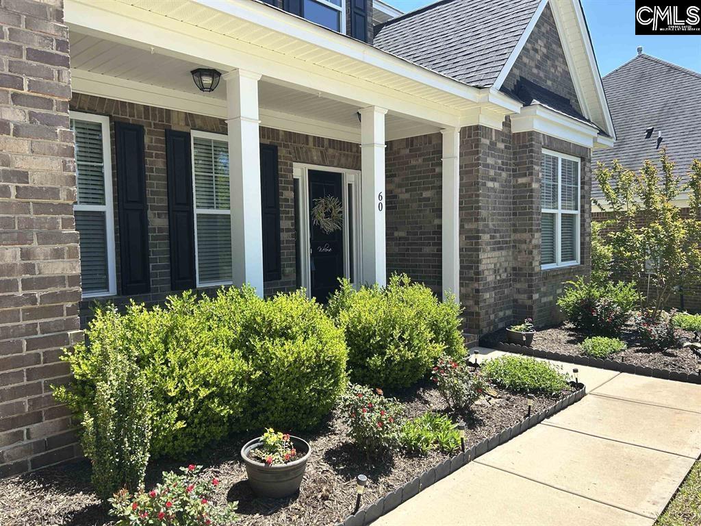 60 Fork Branch Court Irmo, SC 29063 - Photo 3 of 53