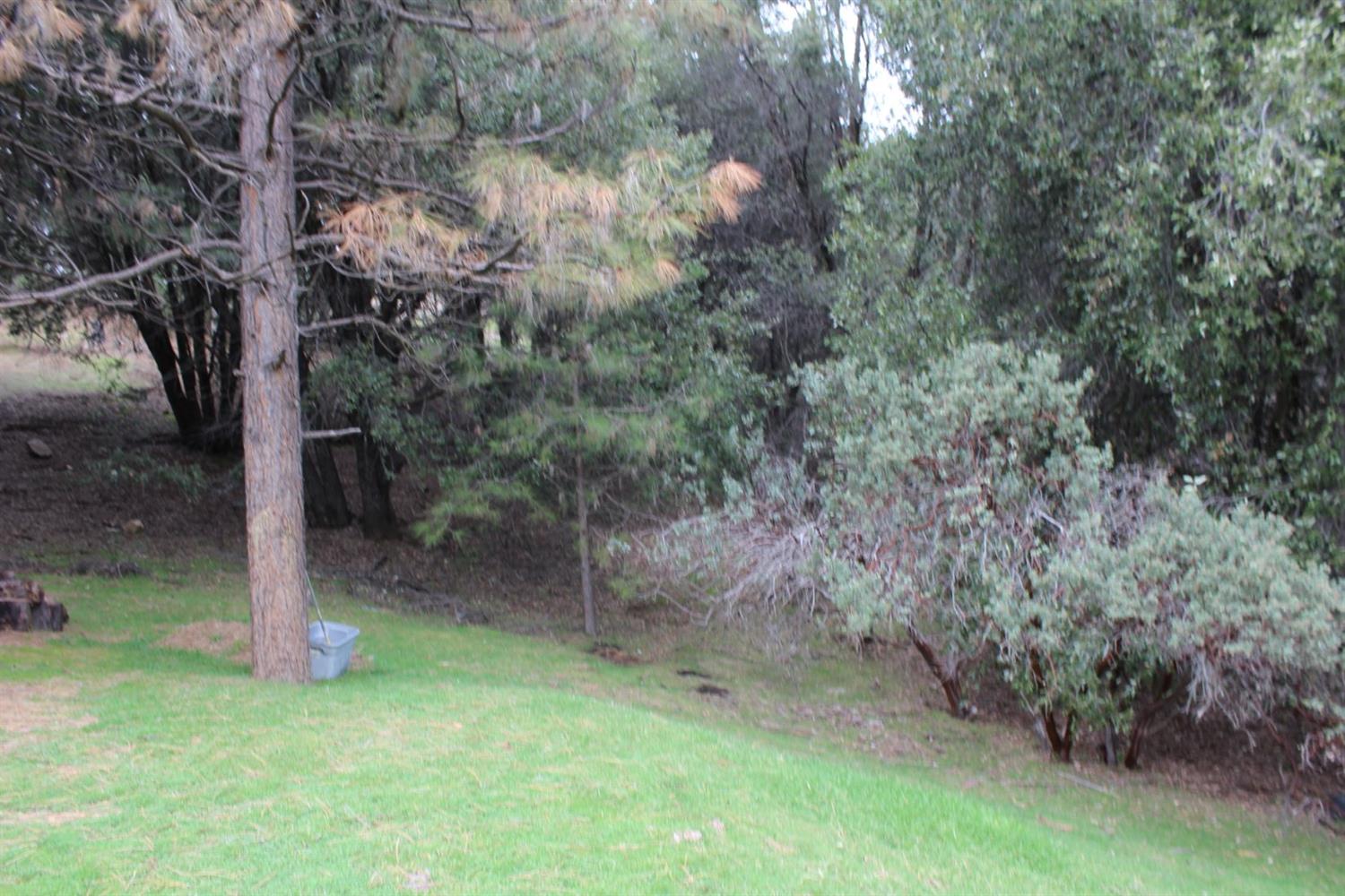 2360 Rainbow Road Mariposa, CA 95338 - Photo 9 of 27 Gallery Image 9
