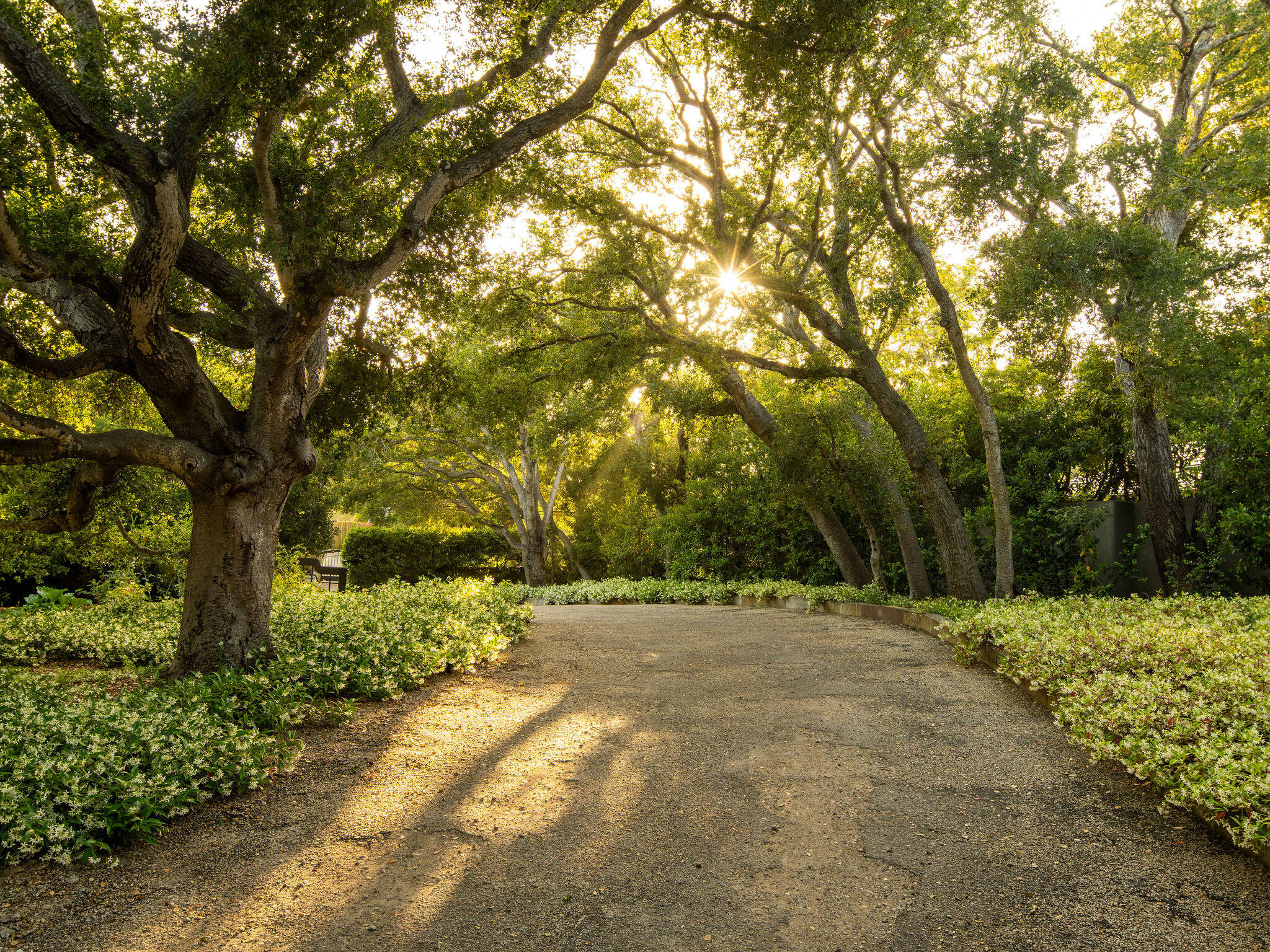 650 San Ysidro Road Montecito, CA 93108 - Photo 10 of 54 a view of outdoor space with trees all around