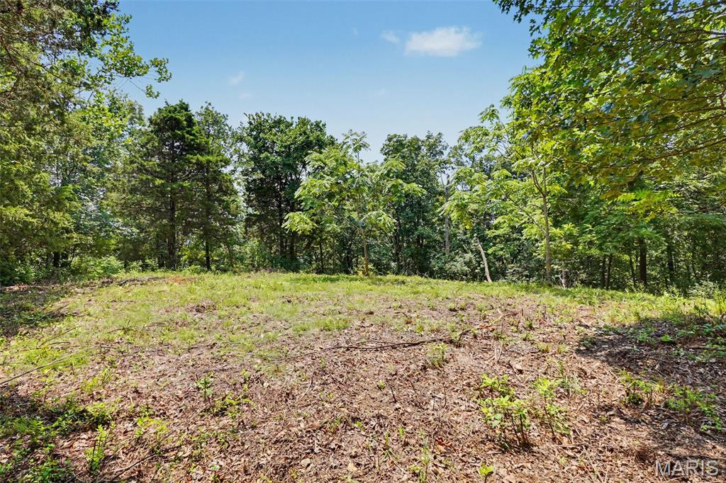 1410 St Paul Road Ballwin, MO 63021 - Photo 2 of 9