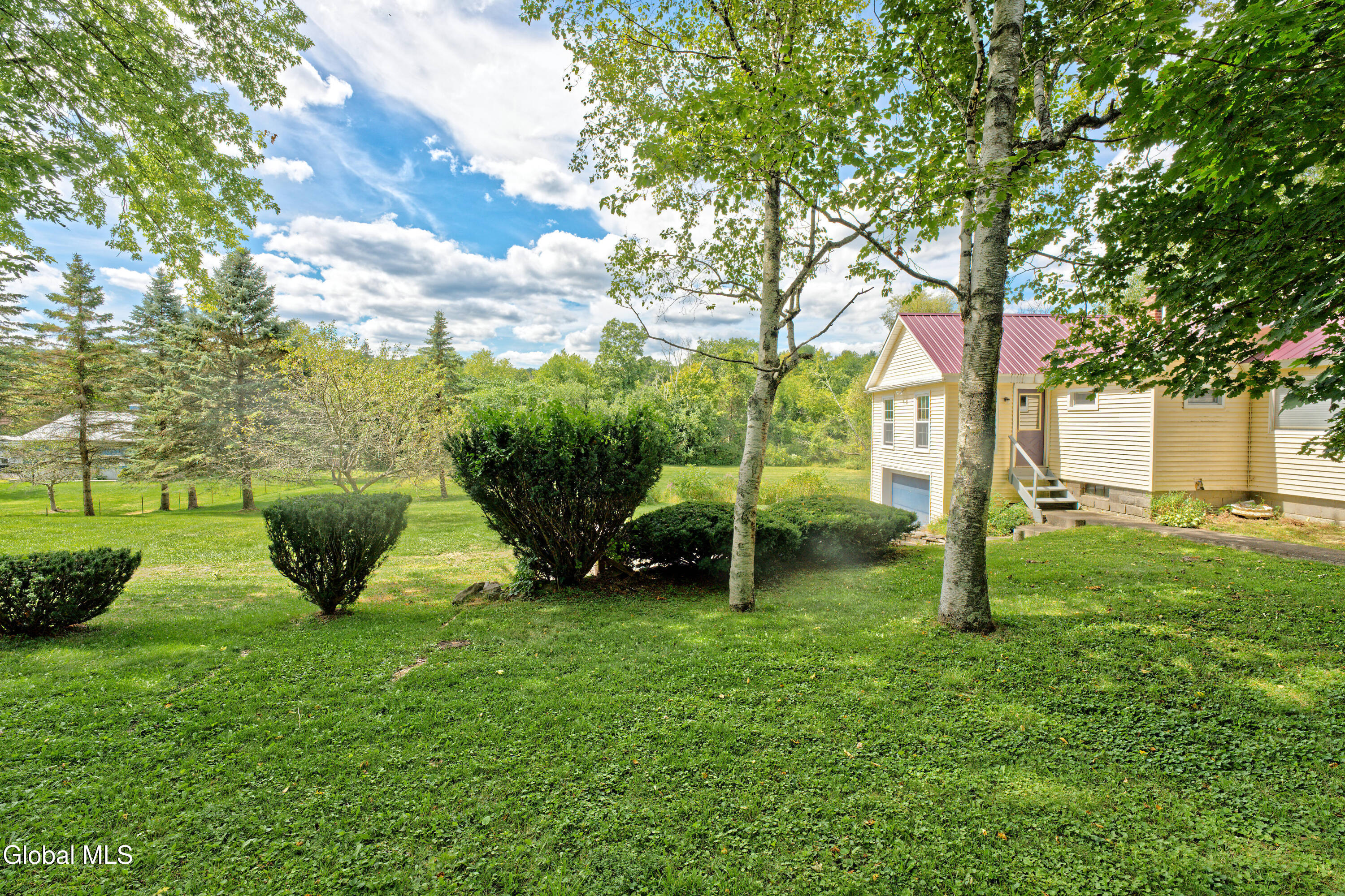 27 N Road New Scotland, NY 12041 - Photo 24 of 30 Yard 1