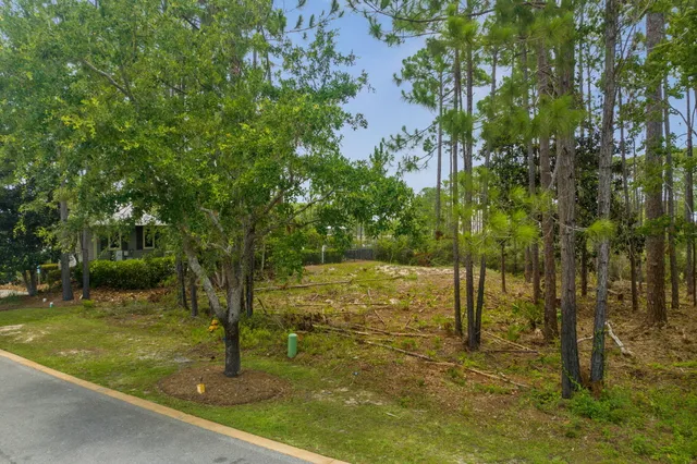 a view of outdoor space and yard