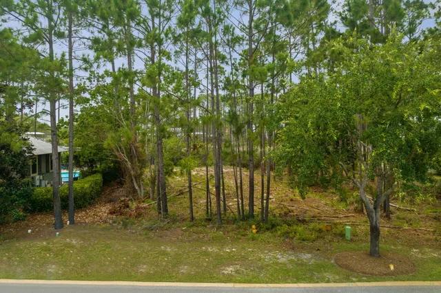 a view of an outdoor space and yard