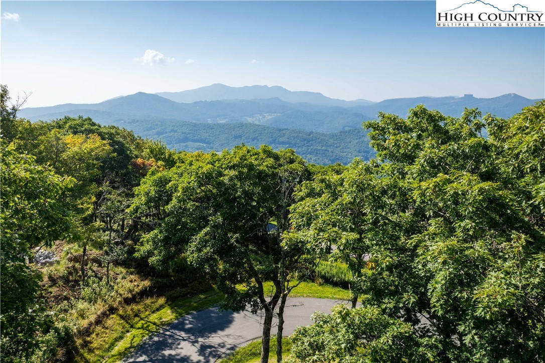 Lot 8 Chappell Farm Road Banner Elk, NC 28604 - Photo 4 of 14 Gallery Image 4