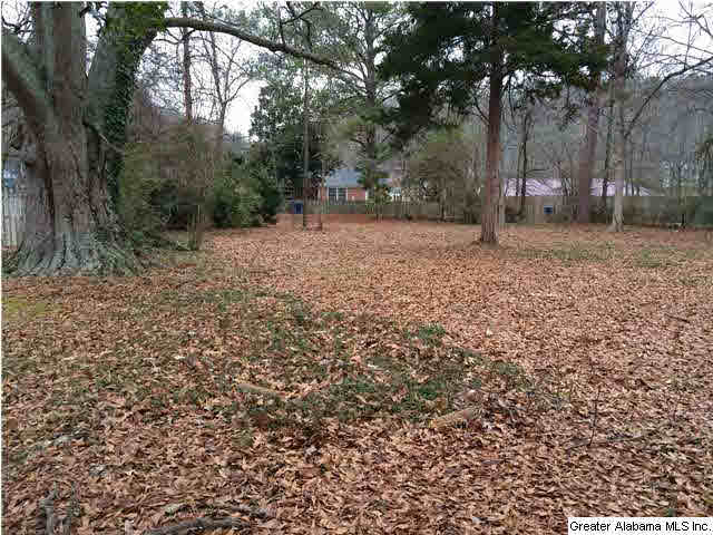 503 5th Street North Oneonta, AL 35121 - Photo 5 of 32