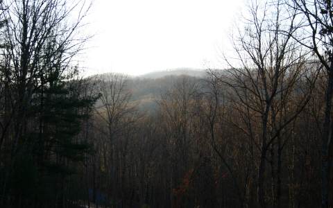 Lot12 Valley Branch Road Blue Ridge, GA 30513 - Photo 1 of 1 Main View