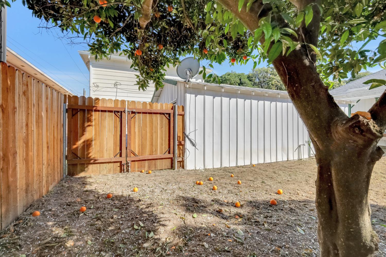 528 Clay Street Colusa, CA 95932 - Photo 31 of 36 Backyard gate to alley