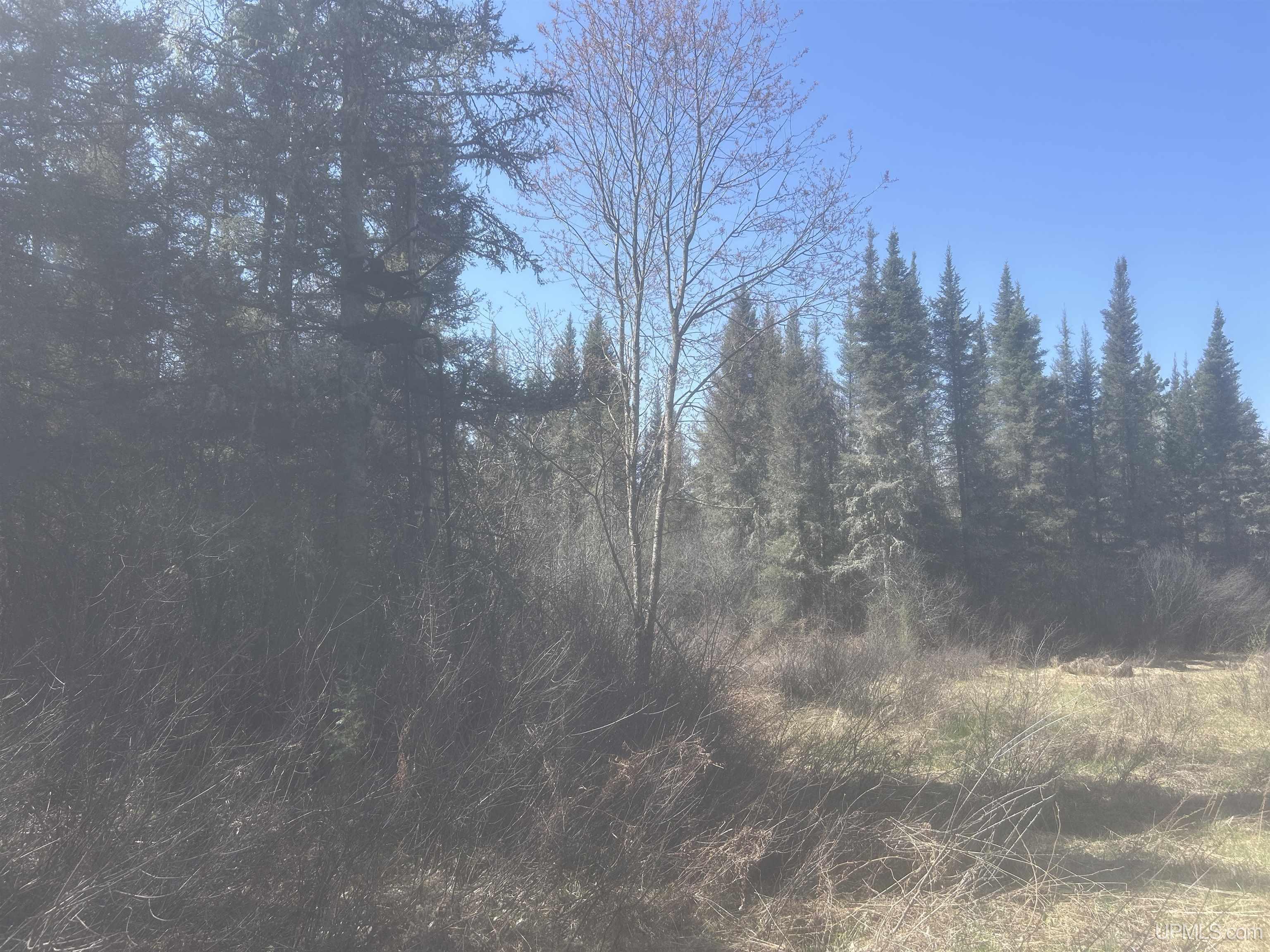 Tbd Goodhall Road Gaastra, MI 49927 - Photo 15 of 17