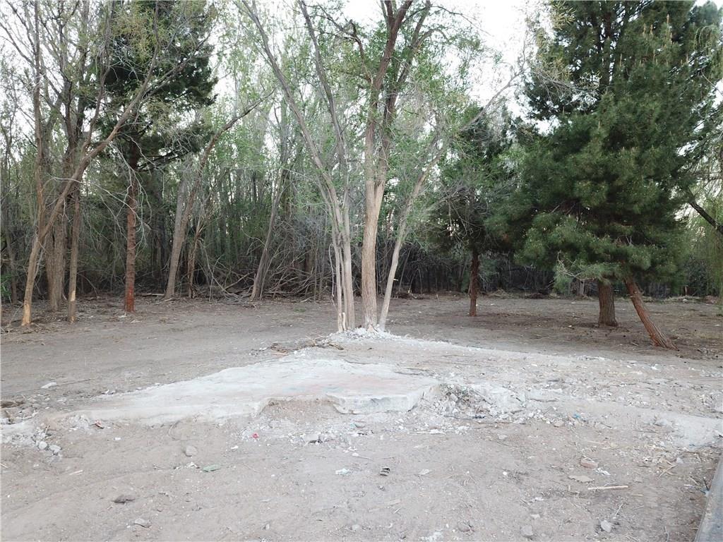 922 West Borderland Road El Paso, TX 79932 - Photo 7 of 8 a view of a forest with trees in the background