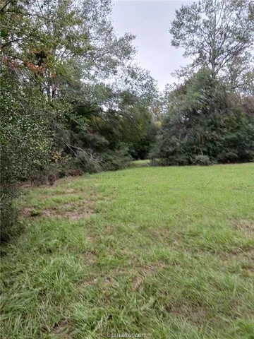 a view of outdoor space with trees all around