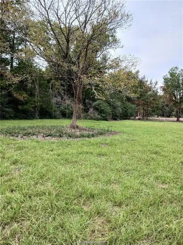 a view of outdoor space with a garden and trees
