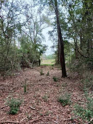 a view of an outdoor space and a yard