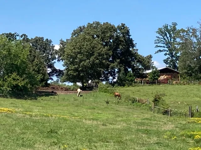 $699,900 | 1570 Halls Valley Road, Trion, GA 30753