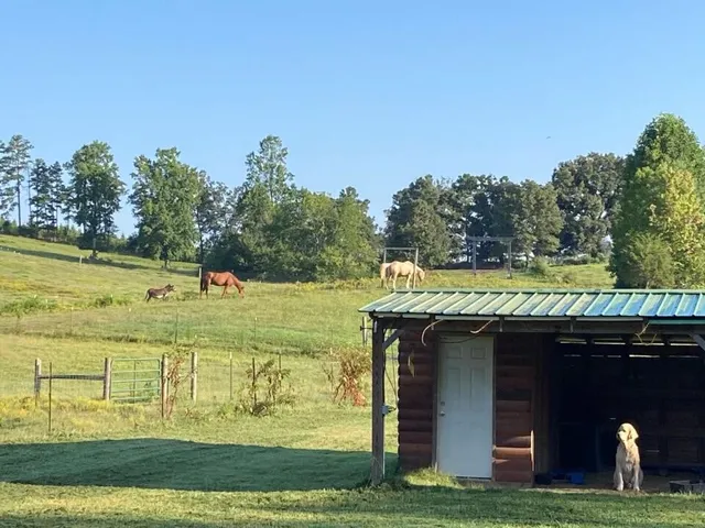 $699,900 | 1570 Halls Valley Road, Trion, GA 30753