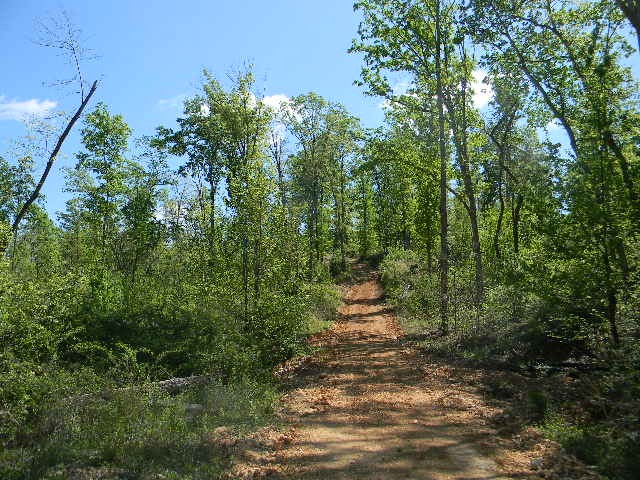 0 Ogden Road McEwen, TN 37101 - Photo 2 of 9 a view of outdoor space and yard