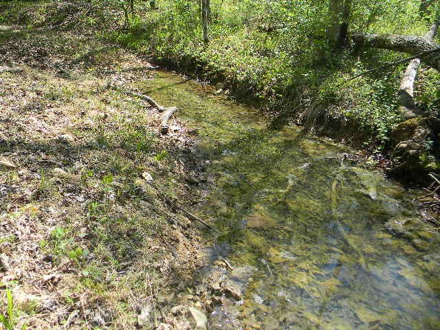 0 Ogden Road McEwen, TN 37101 - Photo 5 of 9 a view of a yard