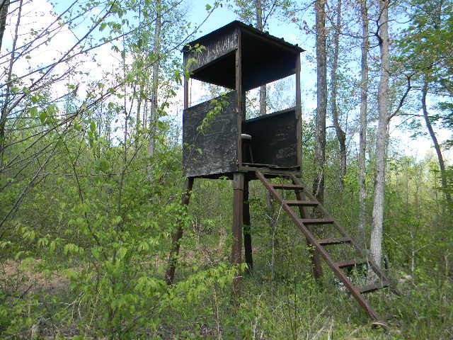 0 Ogden Road McEwen, TN 37101 - Photo 8 of 9 a partial view of a house with a yard