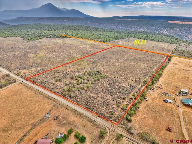 a view of a yard with an outdoor space