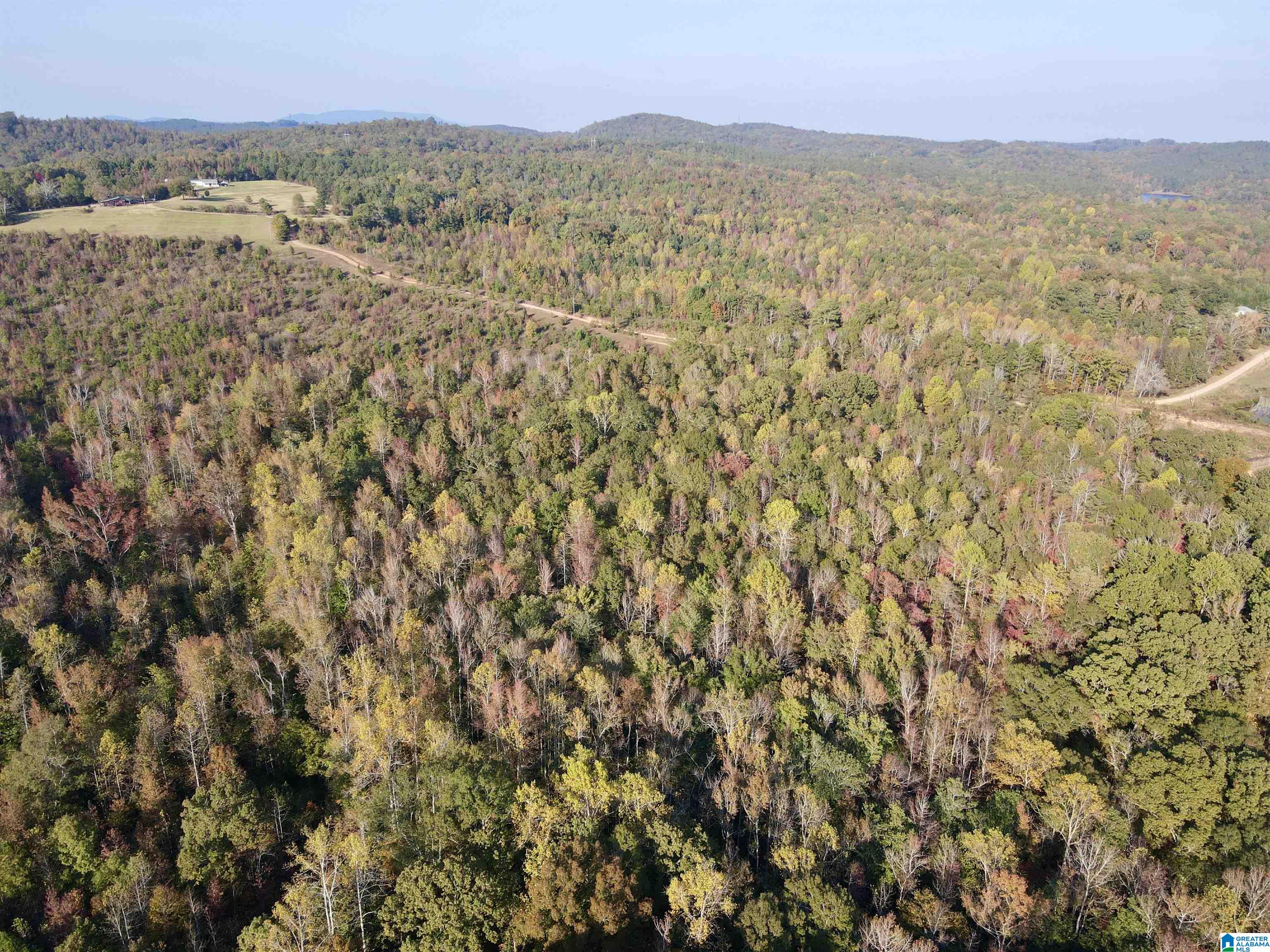0 Peach Orchard Road Ashland, AL 36251 - Photo 6 of 14