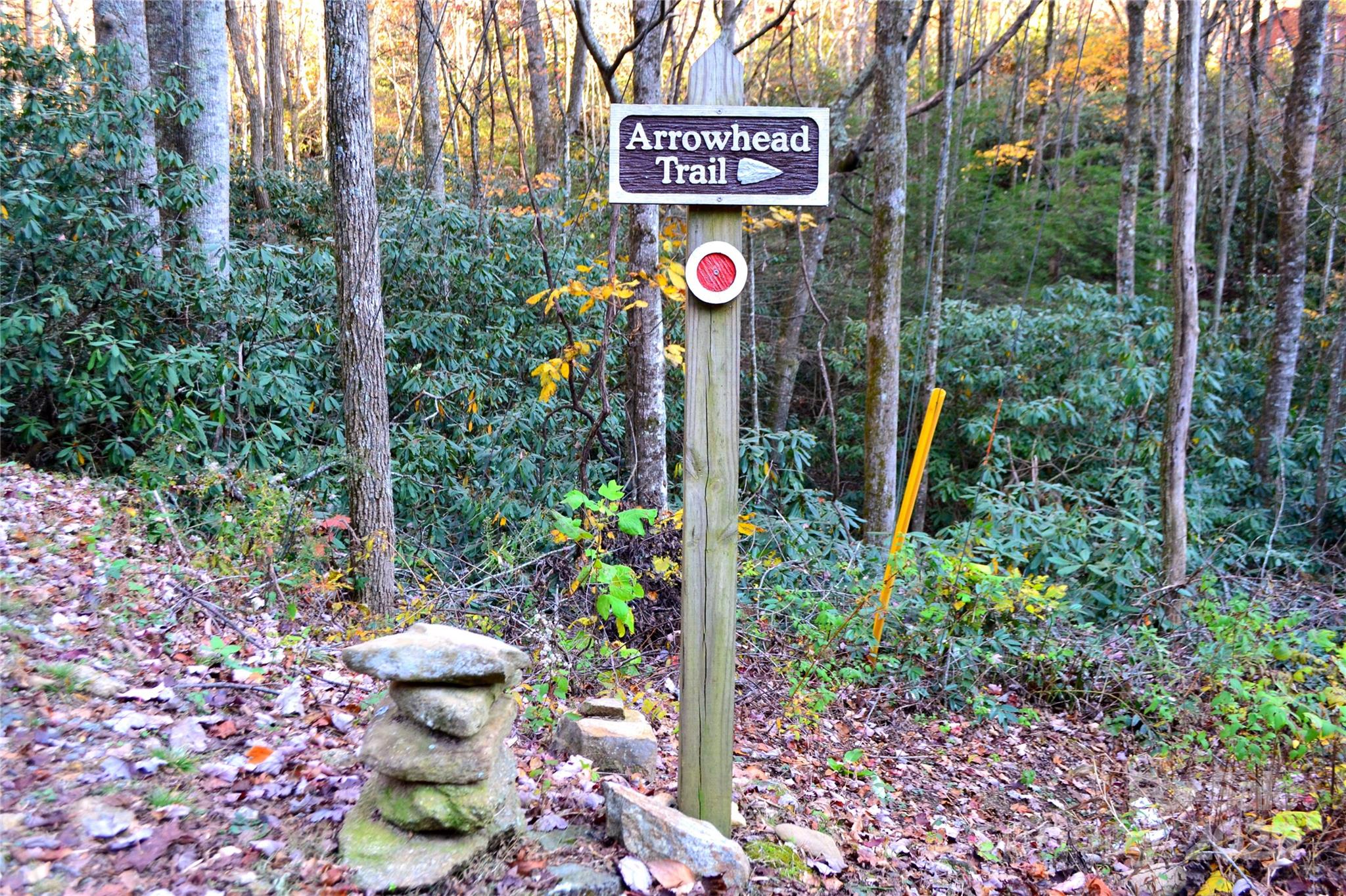 89 Weeping Cherry Forest Road Fairview, NC 28730 - Photo 13 of 15 a street sign that is on a blue