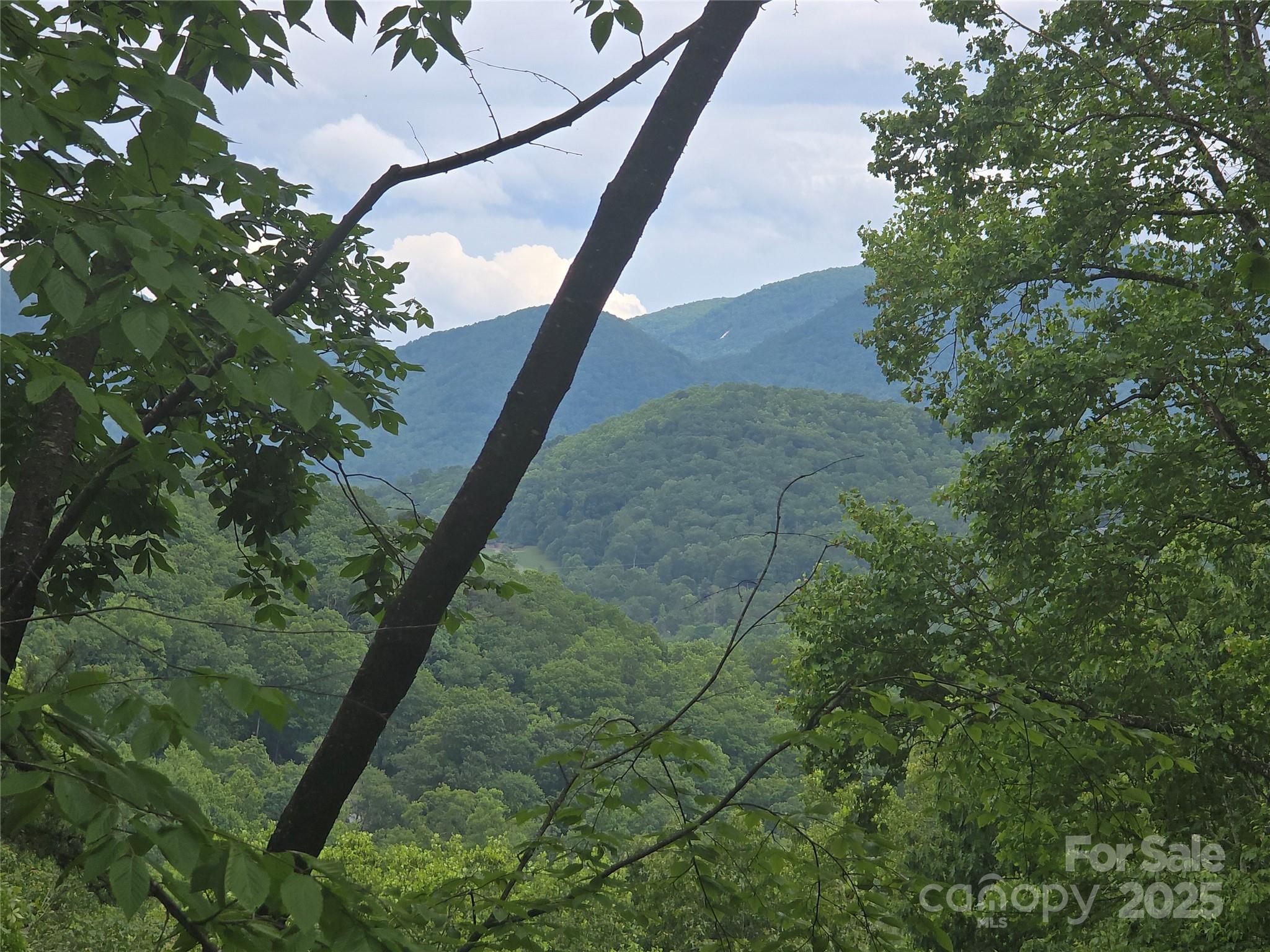 89 Weeping Cherry Forest Road Fairview, NC 28730 - Photo 2 of 15