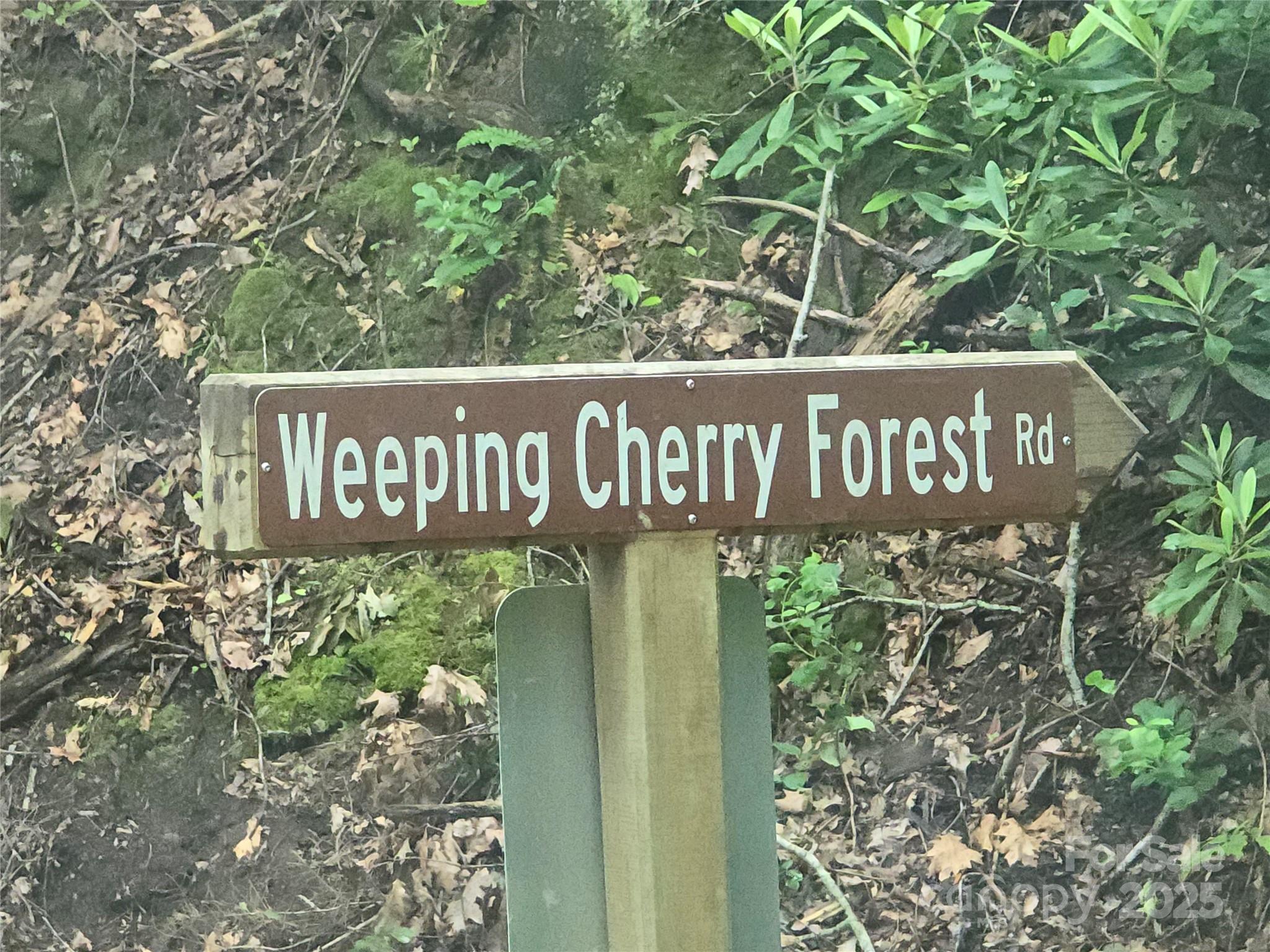 89 Weeping Cherry Forest Road Fairview, NC 28730 - Photo 3 of 15 a sign broad in front of a building