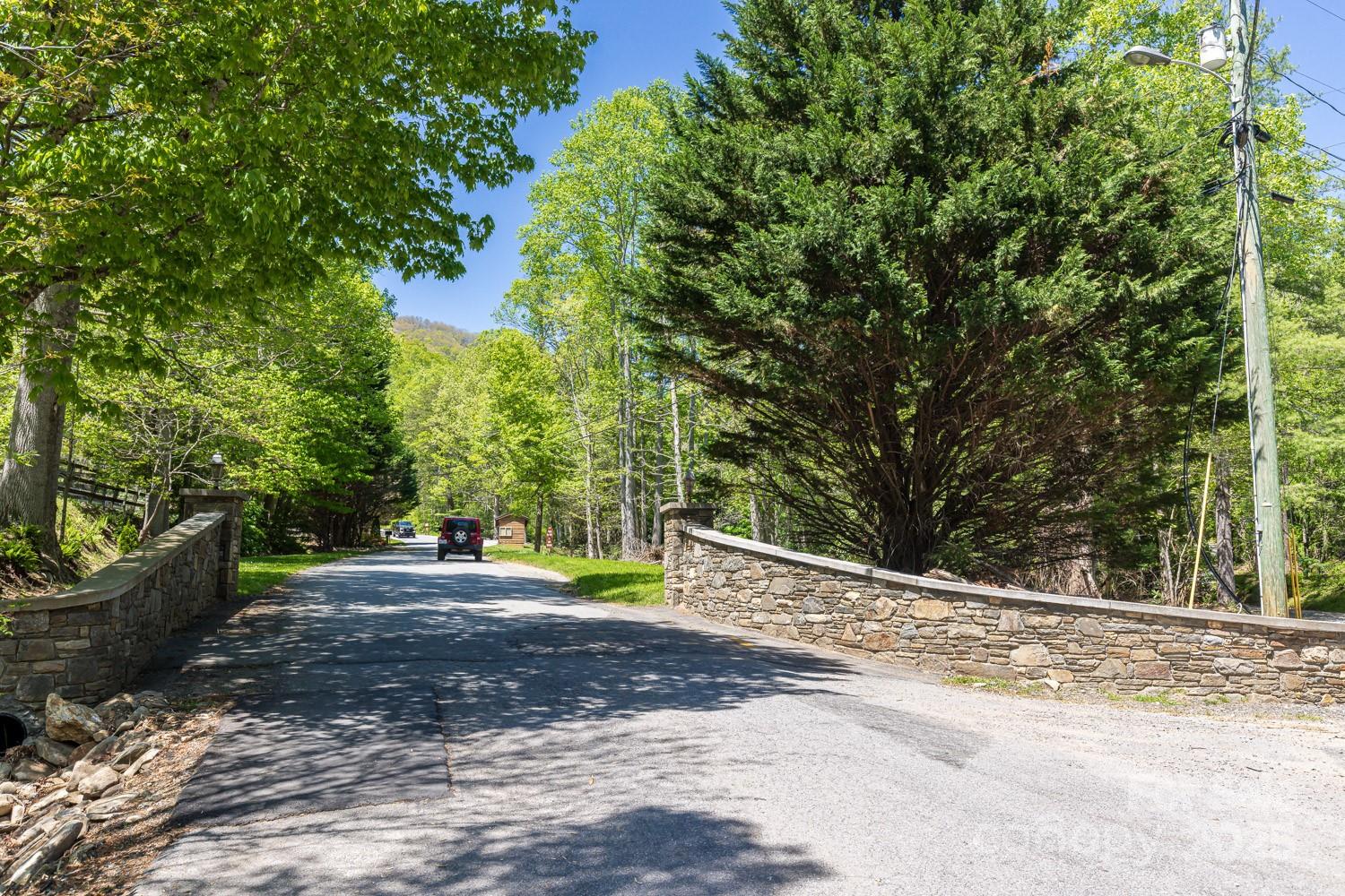 89 Weeping Cherry Forest Road Fairview, NC 28730 - Photo 4 of 15 a view of a yard with plants and trees
